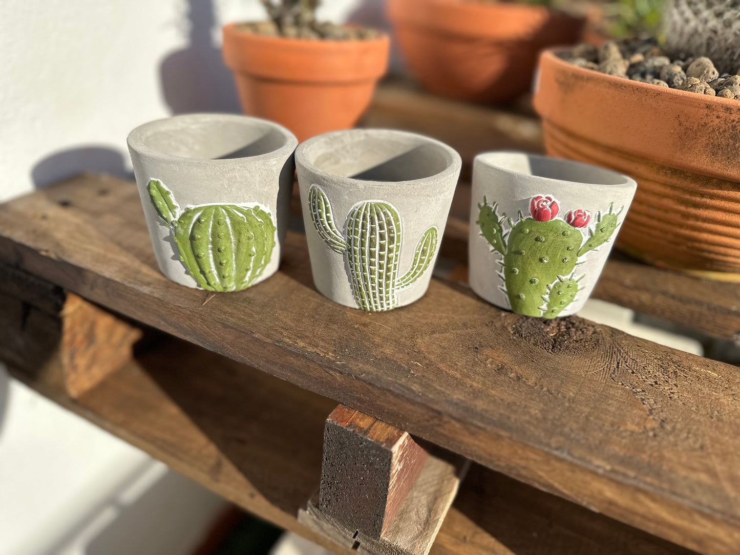 Maceta decorativas mini