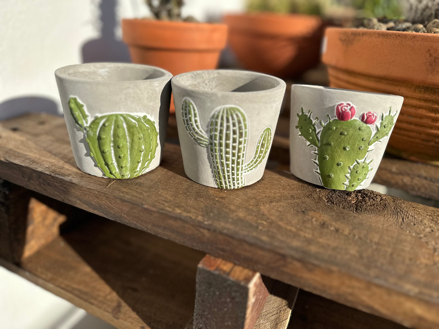 Maceta decorativas mini