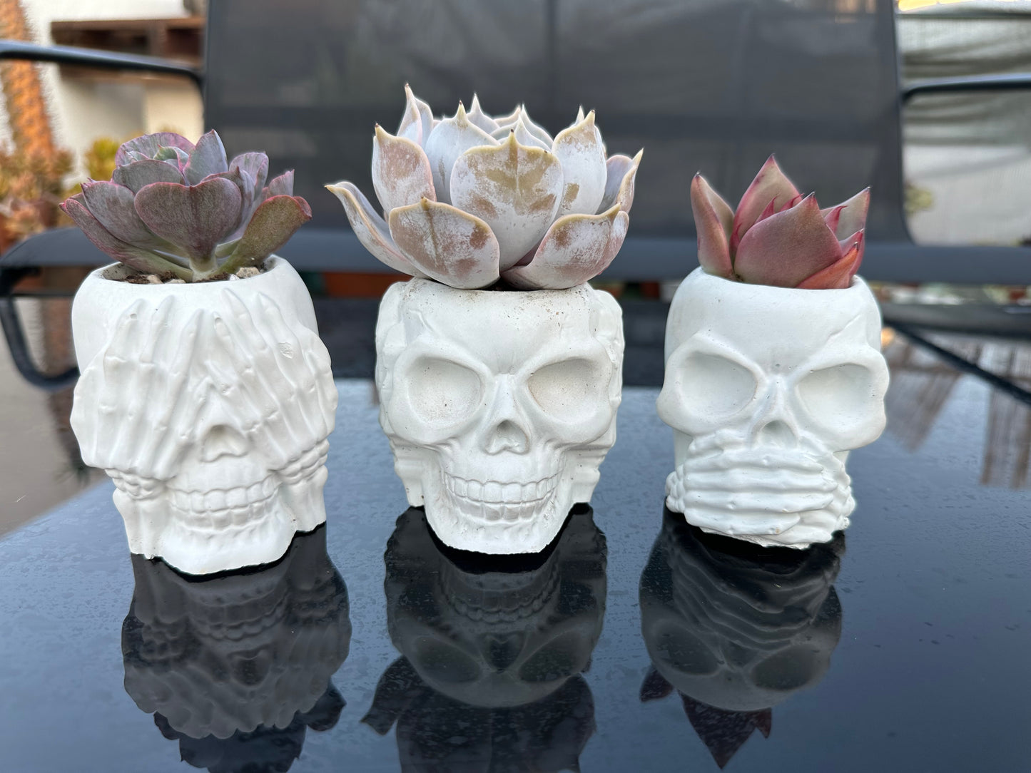 Macetas Calaveras (Unidad)