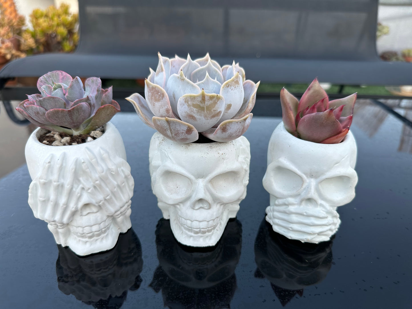 Macetas Calaveras (Unidad)