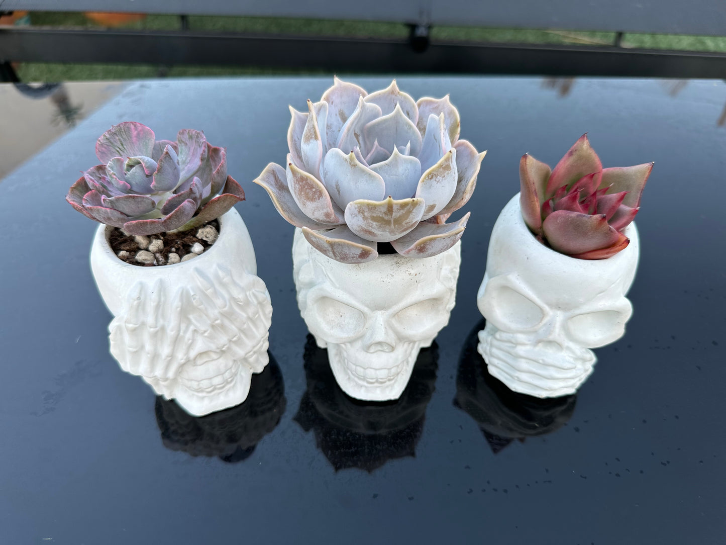 Macetas Calaveras (Unidad)