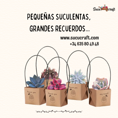 Regala vida a tus invitados