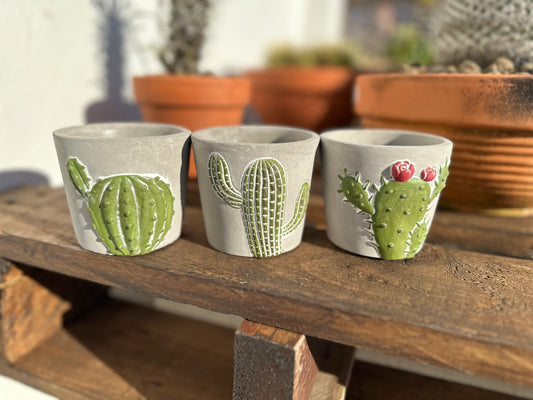 Maceta decorativas mini