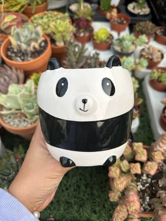 Maceta panda